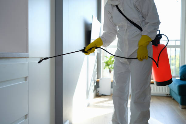 Best Residential Mold Removal  in Alexandria, KY