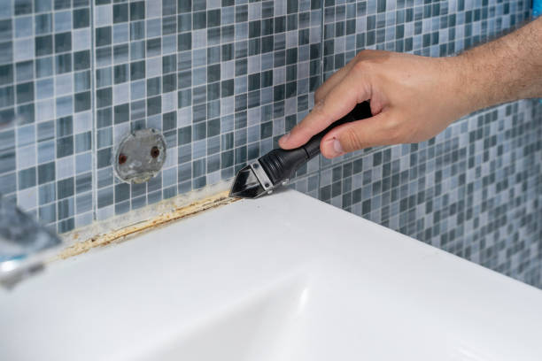 Best Mold Cleaning Services  in Alexandria, KY